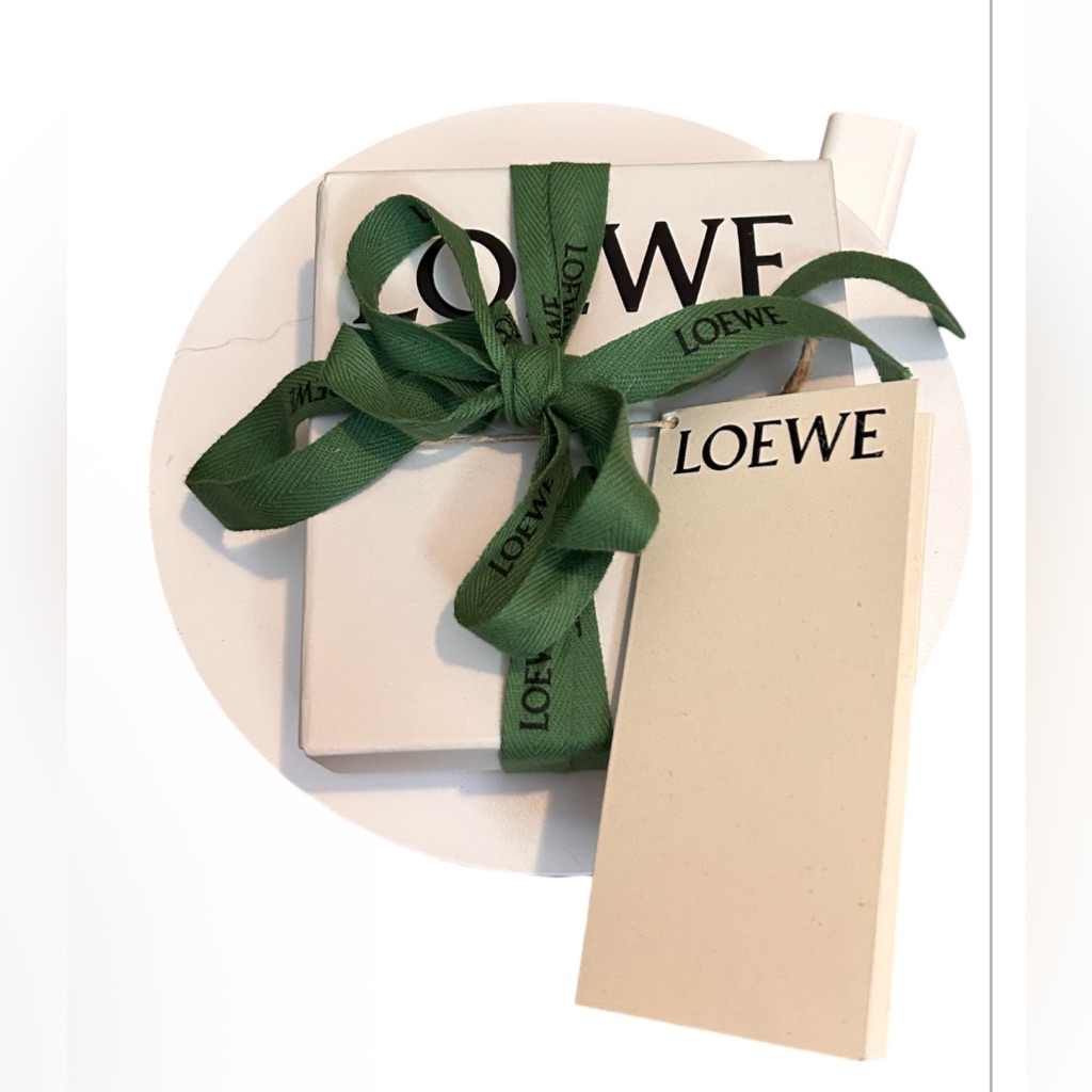 Loewe Gift Ready Charm Bracelet 99$